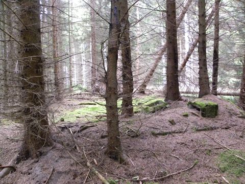 Foto 10